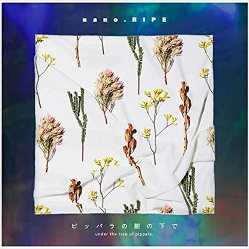 CD nano RIPE CD セット 7枚