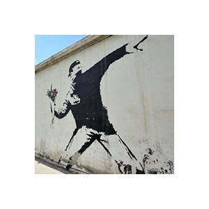 平和に花束を Molotov / バンクシー(Banksy) 【紹】 (アート) M-22-PIGE
