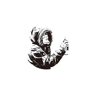 平和に花束を Molotov / バンクシー(Banksy) 【紹】 (アート) M-22-PIGE