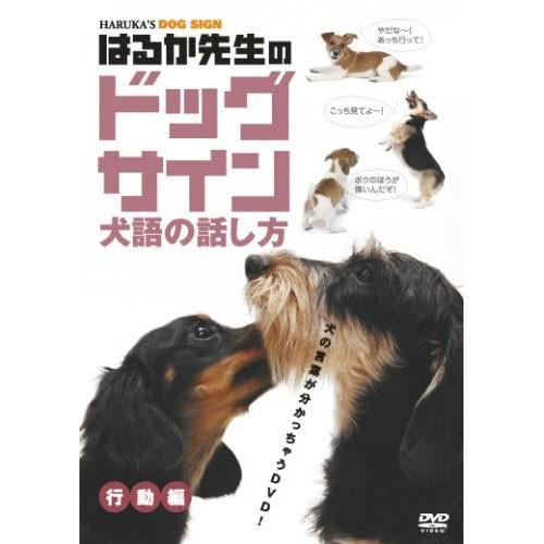 はるか先生のドッグサイン 犬語の話し方 行動編 Dvd Mx 269s Mx 269s ピジョン 通販 Yahoo ショッピング