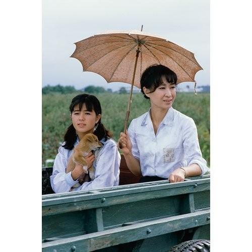 希少 大河ドラマ いのち 完全版 第壱集 三田佳子 役所広司 渡辺 徹 石野真子 伊武雅刀 吉 幾三 Dvd Nsdx Nhk 最終値下 Farmerscentre Com Ng