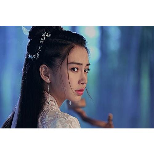 【特典CL付】新品 孤高の花~General\u0026I~ DVD-BOX1 / ウォレス・チョン[鍾漢良],アンジェラベイビー,ガン・ティンティン(DVD) OPSDB652-SPOの画像