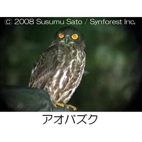 特典CL付】新品 日本百鳴鳥／映像と鳴き声で愉しむ野鳥図鑑 （DVD