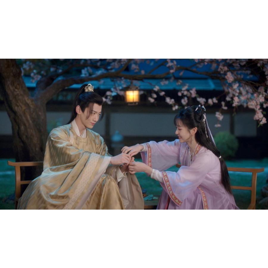 【特典CL付】新品 卿卿(きょうきょう)日常〜宮廷を彩る幸せレシピ〜 DVD-BOX1 /  (10DVD) TCED7384-TCの画像