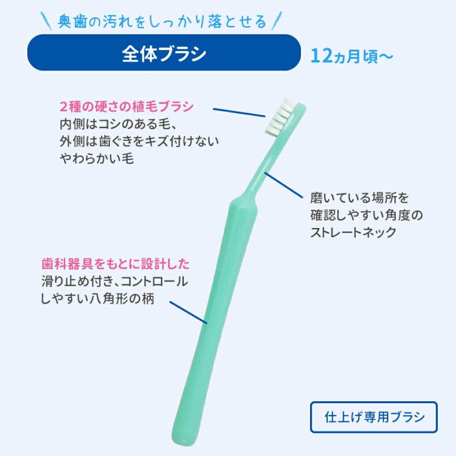 ピジョン pigeon 仕上げ専用 全体みがき 2本入 12ヵ月頃〜 ハミガキ 歯ブラシ ハブラシ はぶらし 仕上げ 仕上げ磨き 乳歯 ベビー用品 育児|pigeon-shop|04