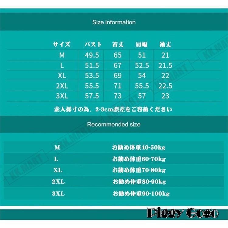 Tシャツ メンズ 半袖 グラデーションTシャツ クルーネック