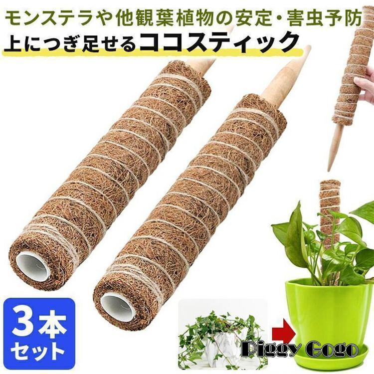 ココスティック 3本セット モンステラ 支柱 観葉植物 おしゃれ