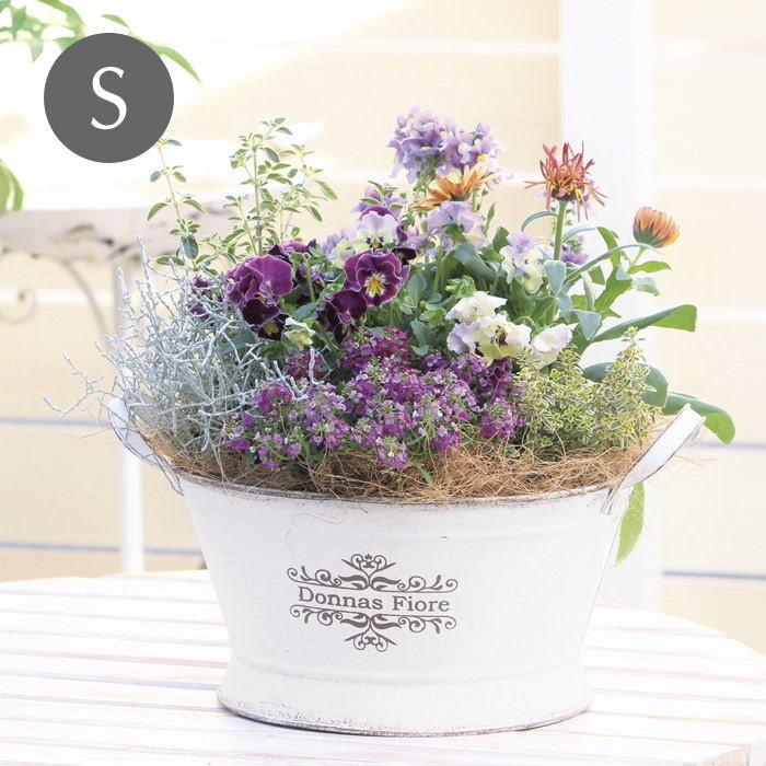 プランター おしゃれ ガーデニング 鉢 底穴あり 寄せ植え フラワー