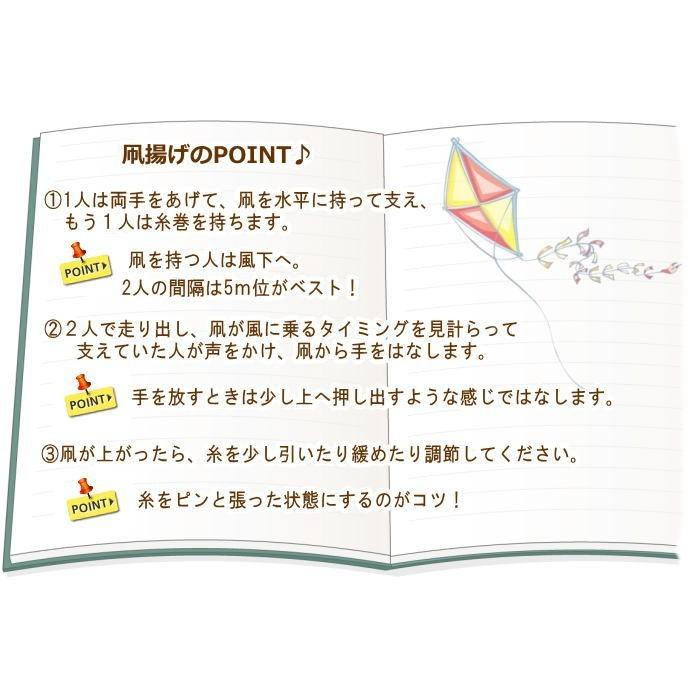 カイト 凧 凧揚げ 子供 スポーツカイト アウトドア 正月 外遊び