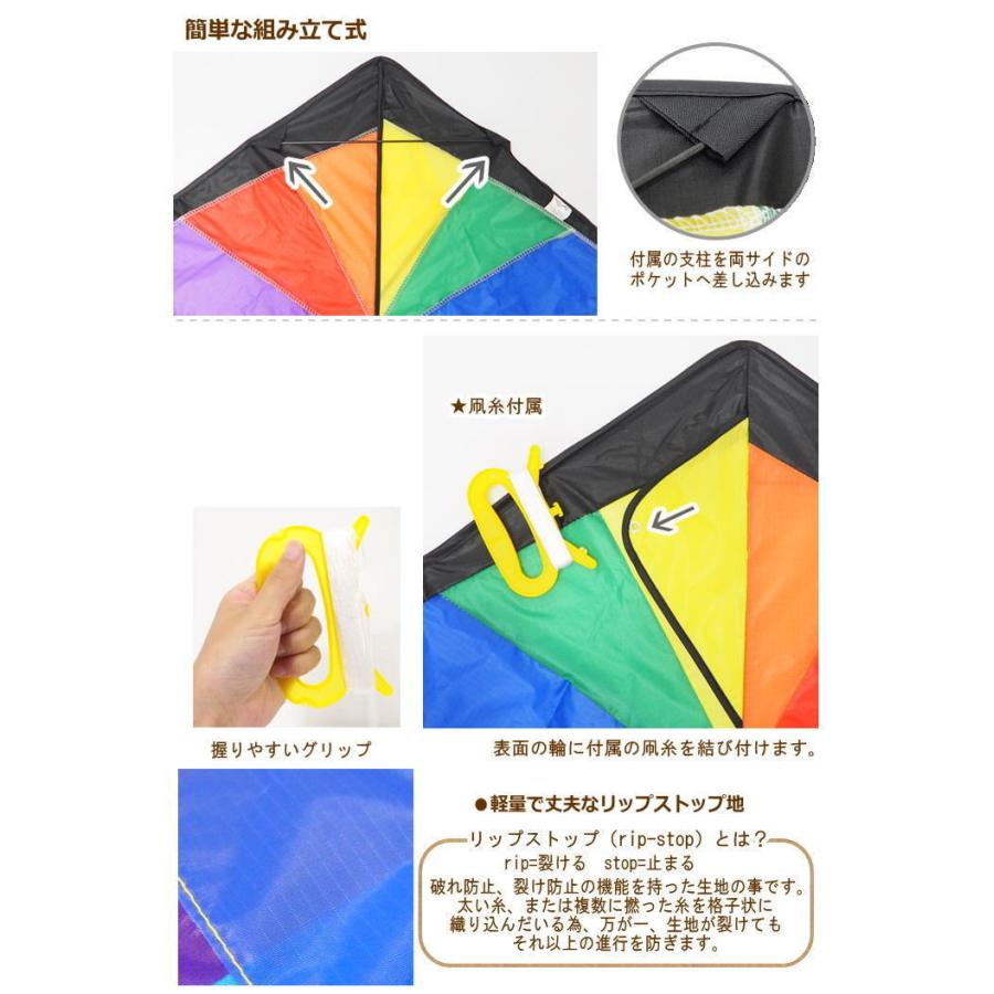 カイト 凧 凧揚げ 子供 スポーツカイト アウトドア 正月 外遊び