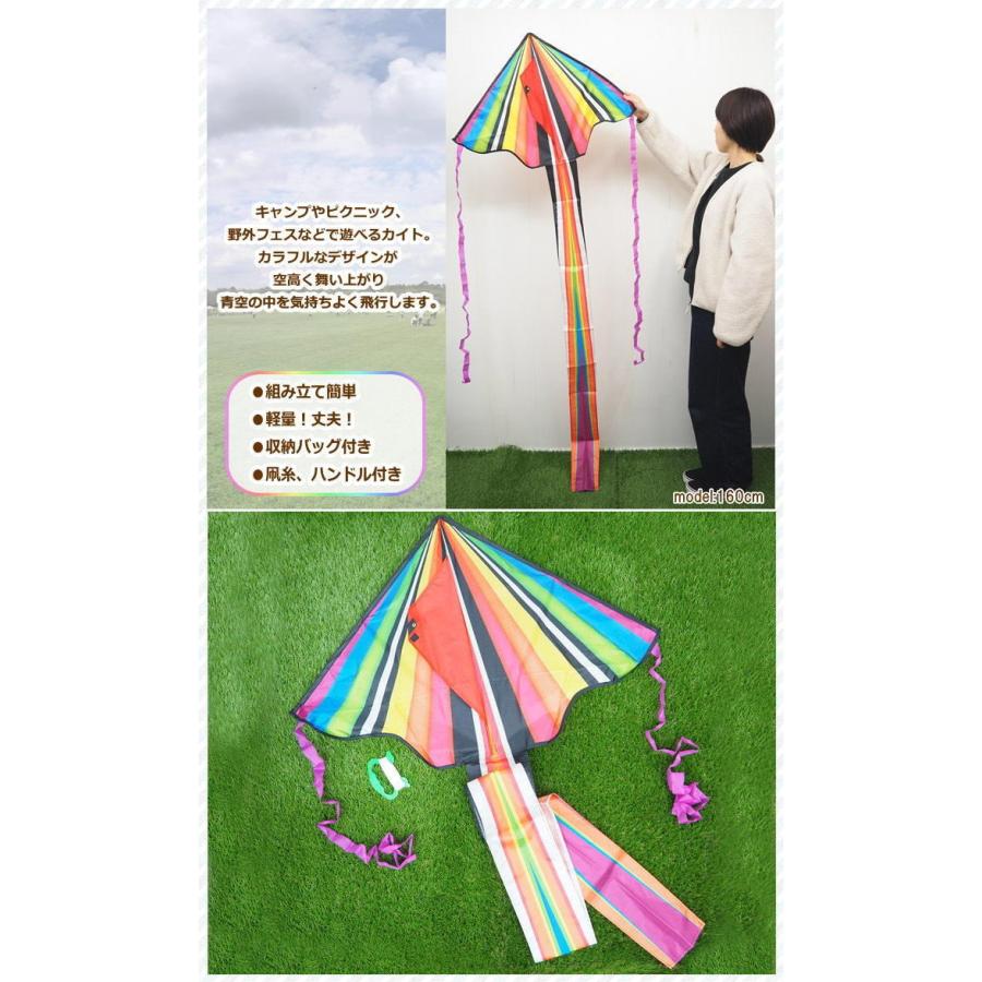 カイト 凧 凧揚げ 子供 スポーツカイト アウトドア 正月 外遊び