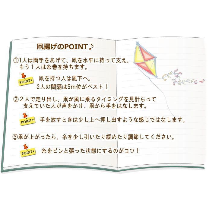 カイト 凧 凧揚げ 子供 スポーツカイト アウトドア 正月 外遊び