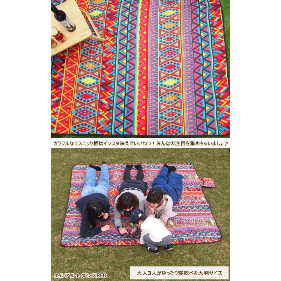 限定特価 レジャーシート ピクニック 厚手 大判 おしゃれ 平織 洗える 135×175 4人 6 |  | 12