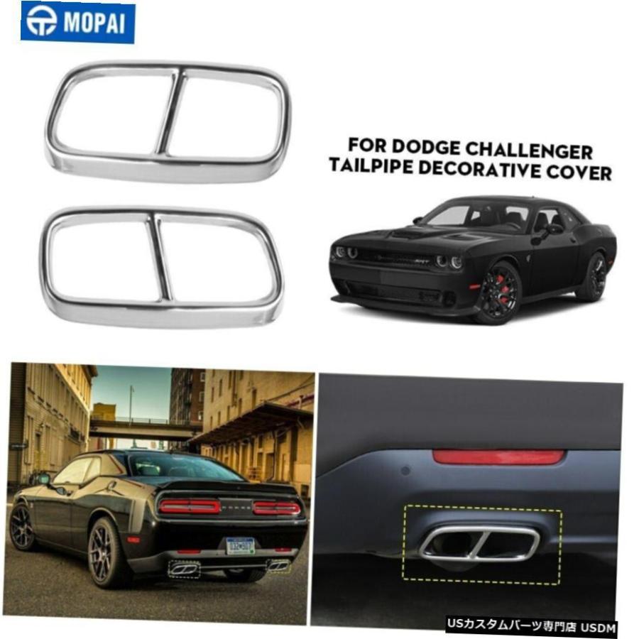 カスタム ダッジ バン チェイス パール&クローム エラー品 プロテクター カスタム ダッジ バン チェイス パール&クローム エラー品