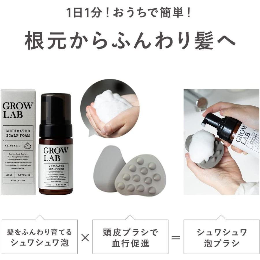 レビューで送料無料】 GROW LAB スカルプフォーム ブラシ おまけ8点