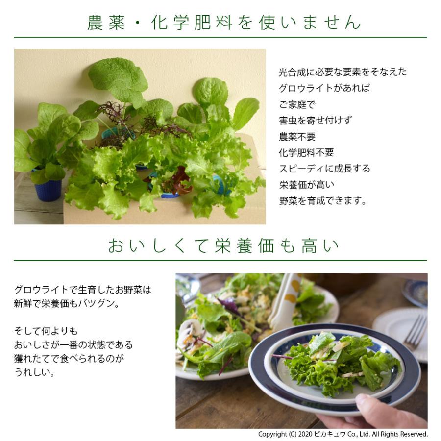 植物育成ライト 観葉植物 多肉植物 グロウライト ファンレス 薄型設計