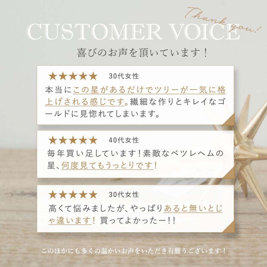 正規輸入 正規取扱店 クリスマスツリー オーナメント ドイツ アルビン