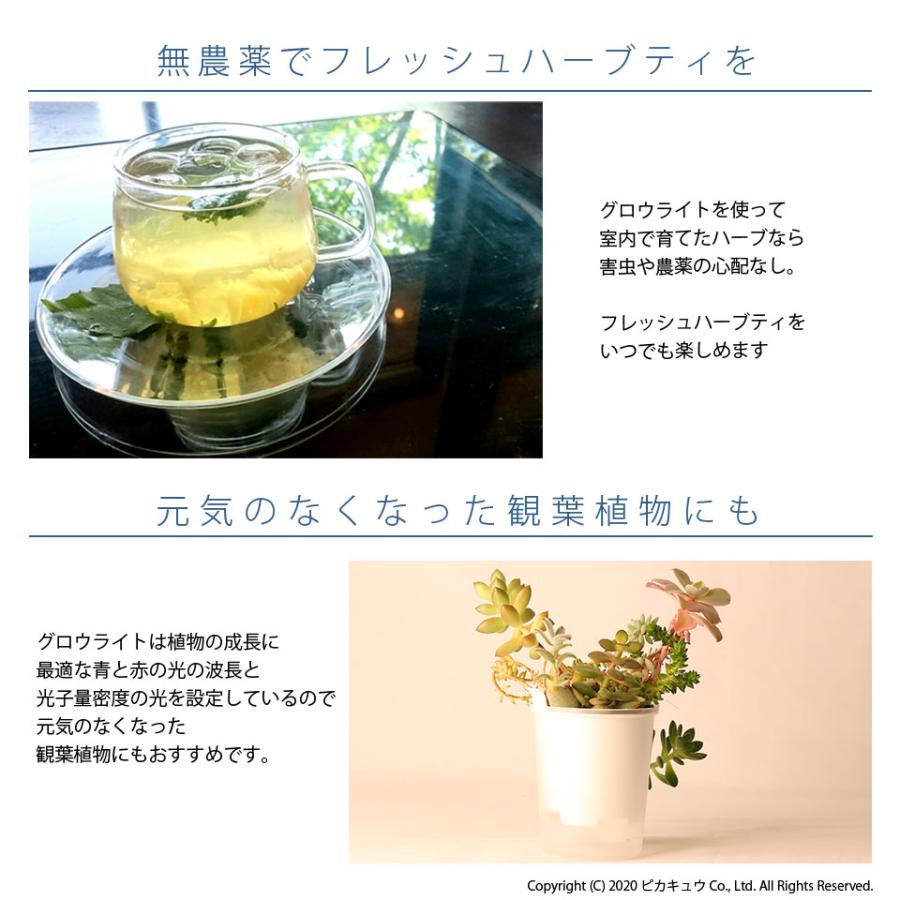 植物育成ライト 観葉植物 多肉植物 グロウライト ファンレス 薄型設計 450w 180cm 180cm アングル1度 ライト Led フルスペクトラム設計 耐久50 000時間 2 2 カーled専門店 ピカキュウヤフー店 通販 Yahoo ショッピング
