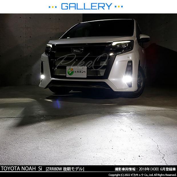 ノア 未使用 peak 金属製ブロンズペグ 10本×3セット シェアスタイル