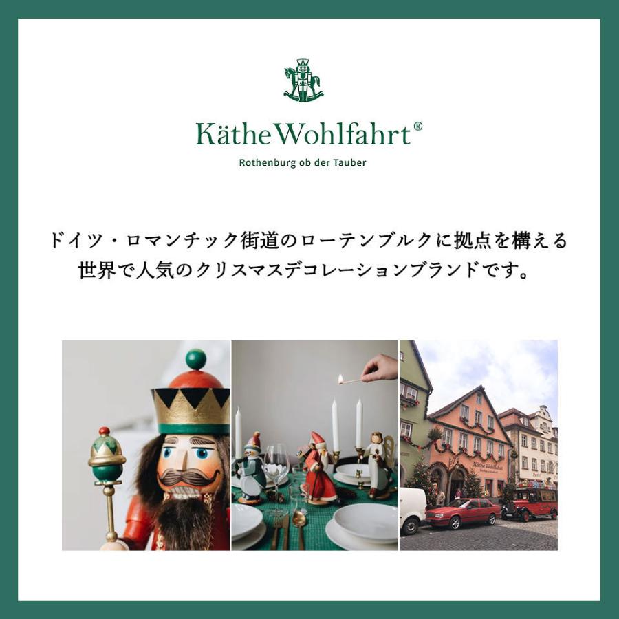 Kathewohlfahrt Beads Bird 小鳥 文鳥 白 ふわふわ かわいい オーナメント クリップ ふわもこ クリスマス小枝に乗る ビーズ 751 703 703 0 カーled専門店 ピカキュウヤフー店 通販 Yahoo ショッピング