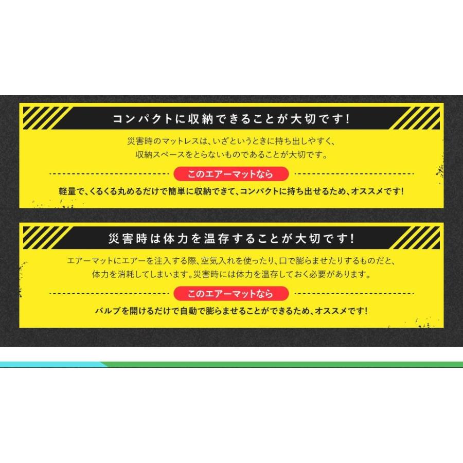 人気特価激安 ニッサン セレナ E Power C27系 車中泊マット 2枚セットエアマットプレミアム 高機能ウレタン 厚さ10cm 選べるカラー 5色 日本最大級 Www Muslimaidusa Org