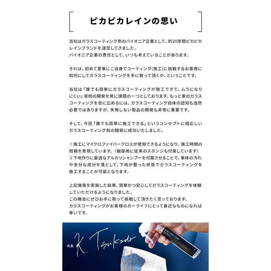 ピカピカレイン 【今だけ25%OFF♪】車 ガラスコーティング