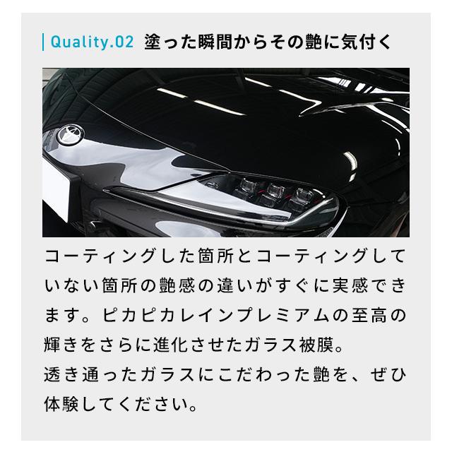 ピカピカレイン 【今だけ25%OFF♪】車 ガラスコーティング