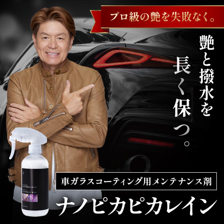 ピカピカレイン メンテナンス コーティング剤 洗車 艶 業務用 光沢 超