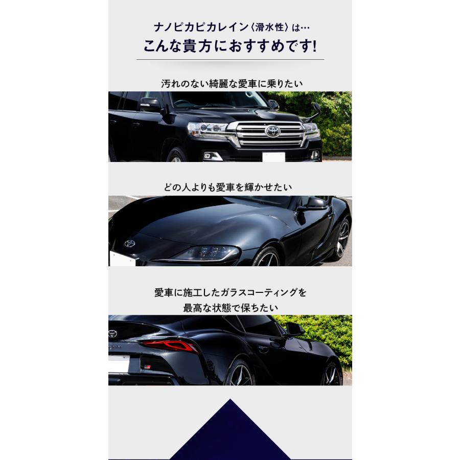 ピカピカレイン メンテナンス コーティング剤 洗車 艶 業務用 光沢 超