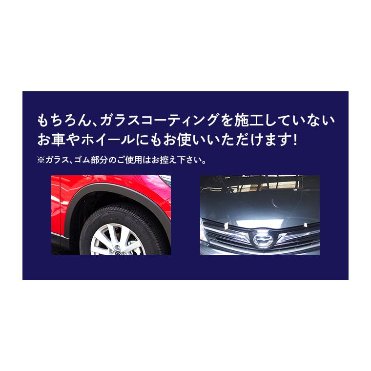 ピカピカレイン メンテナンス コーティング剤 洗車 艶 業務用 光沢 超