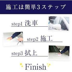 車 ガラスコーティング ピカピカレイン２  自動車 ガラスコーティング剤  3年間ノーワックス ポリマーコーティング 艶 カーワックス [TOP-PIKA2]