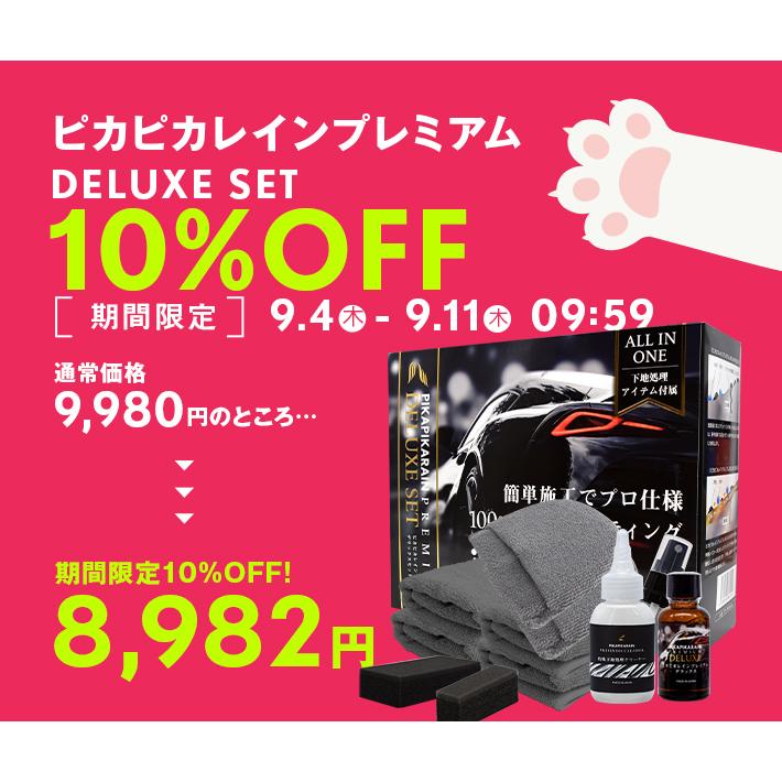 ピカピカレインプレミアム デラックスセット 洗車 コーティング sddefault.jpg