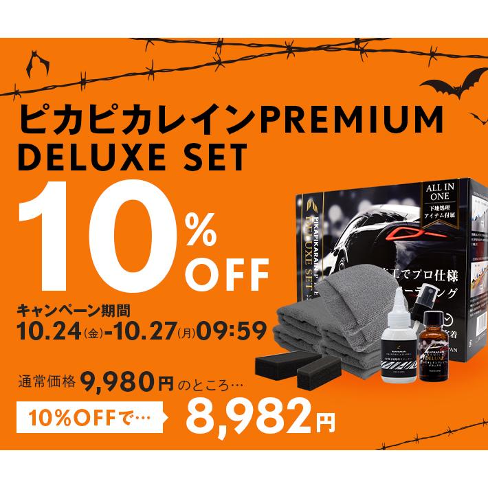 ピカピカレイン 【期間限定10%OFF】ランキング硬化型1位 車 3