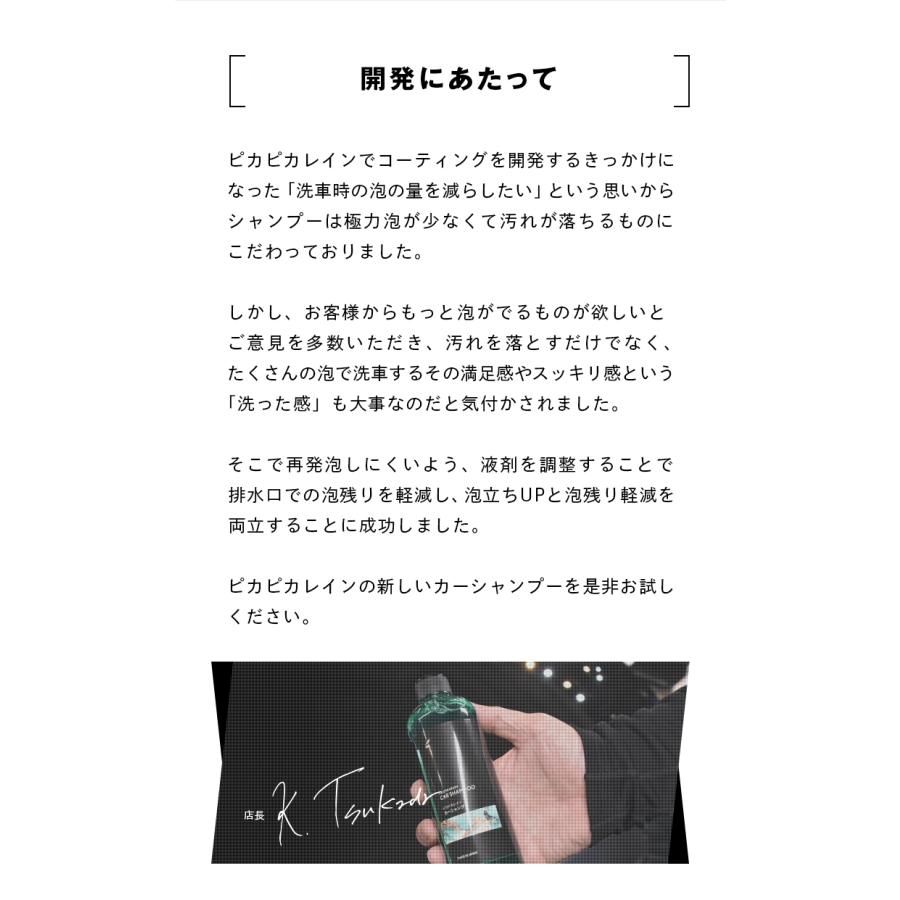 ガウリシャンカール産ガネーシャカービング バリ カービング(木彫り）ガネーシャ 2207-5 その他置物 plenos 通販