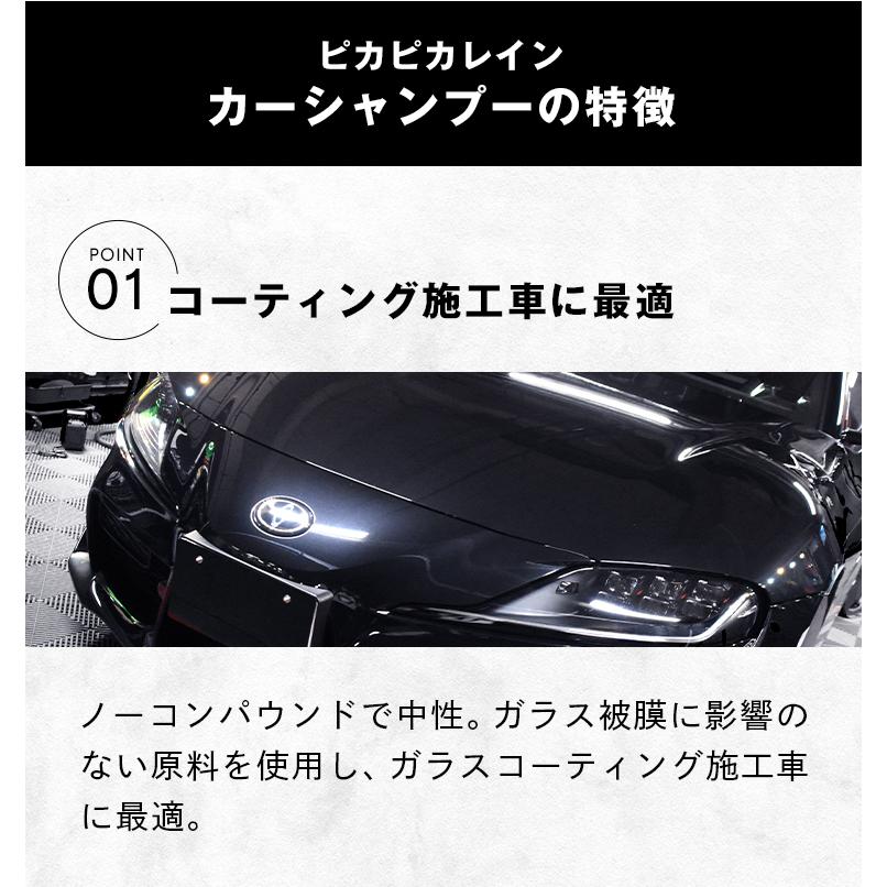 ピカピカレイン 車 カーシャンプー ガラスコーティング剤 洗車 中性