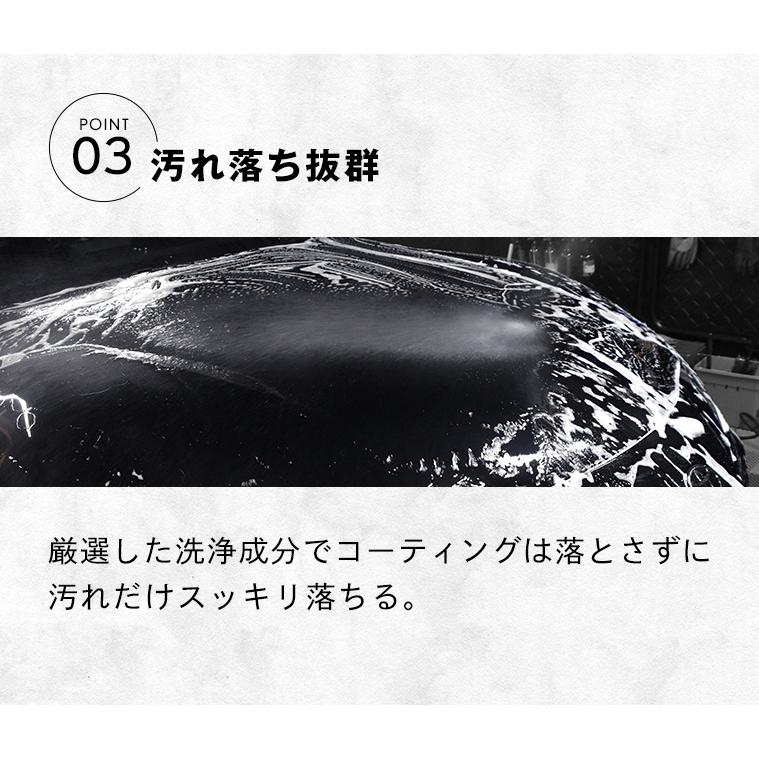 ピカピカレイン カーシャンプー 洗車 車 コーティング 泡 洗剤 中性 水垢 業務用 濃縮 汚れ クリーナー ホイール 鉄粉 メンテナンス 脱脂 洗浄  [TOP-CAR-SHAMP] | ピカピカレイン | 06