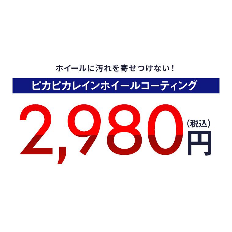 車 ホイールコーティング ピカピカレイン 撥水 ホイールコーティング剤 ホイールコート ホイールコート剤【メール便可】[TOP-WHEEL] | ピカピカレイン | 11