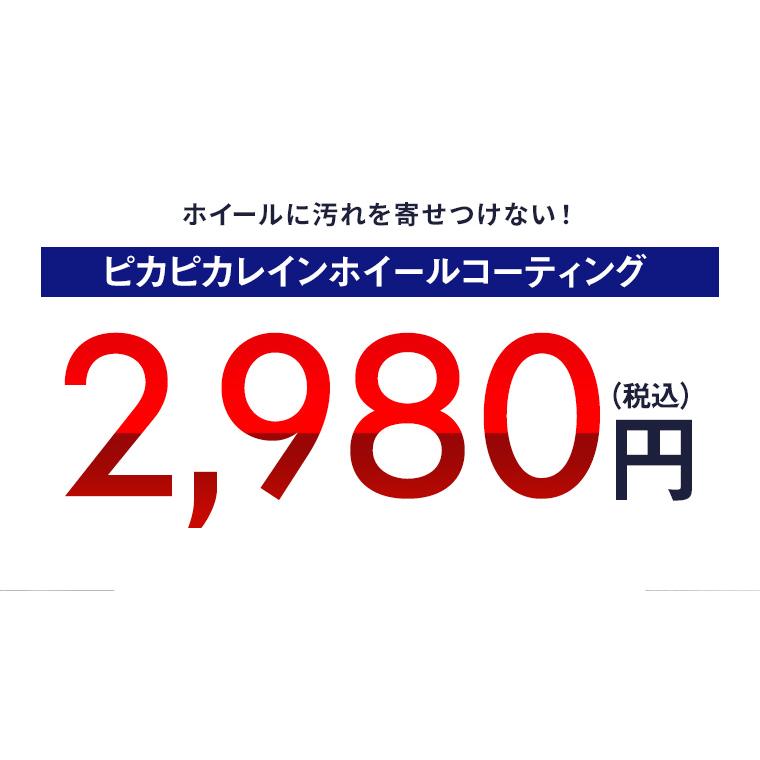 車 ホイールコーティング ピカピカレイン 撥水 ホイールコーティング剤 ホイールコート ホイールコート剤【メール便可】[TOP-WHEEL] | ピカピカレイン | 01