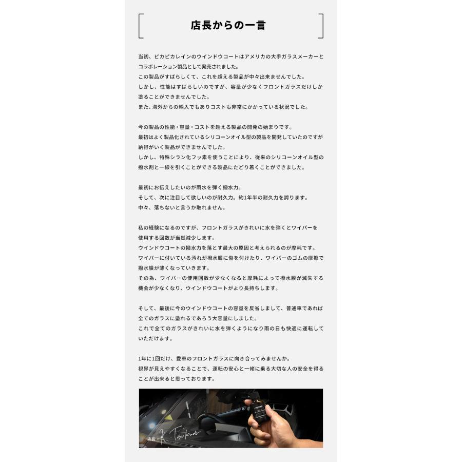 ウィンドウコーティング 車 フロントガラス 超撥水 ピカピカレイン ウインドウピカピカレイン 油膜 ウロコ 雨 10ml | ピカピカレイン | 10