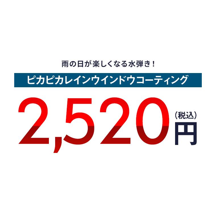 ウィンドウコーティング 車 フロントガラス 超撥水 ピカピカレイン ウインドウピカピカレイン 油膜 ウロコ 雨 10ml | ピカピカレイン | 02