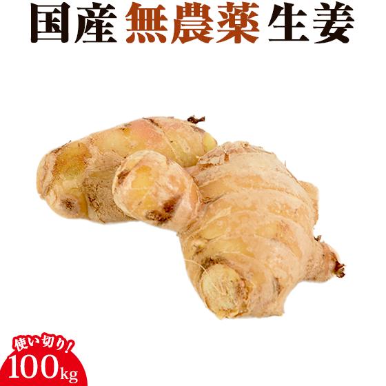 生姜 無農薬 100g 長崎県産 国産 古根 しょうが ショウガ 訳あり 野菜