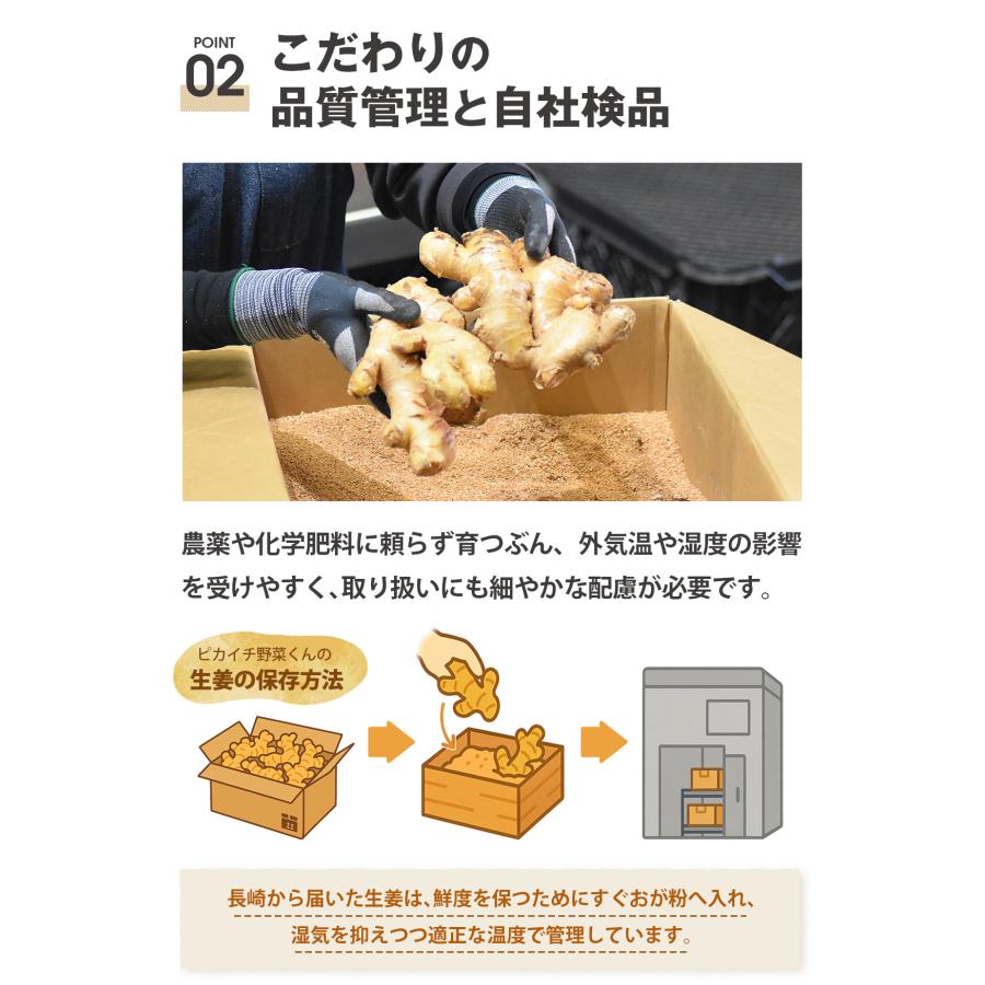 新生姜 無農薬 生姜 100g 長崎県産 国産 しょうが ショウガ 訳あり