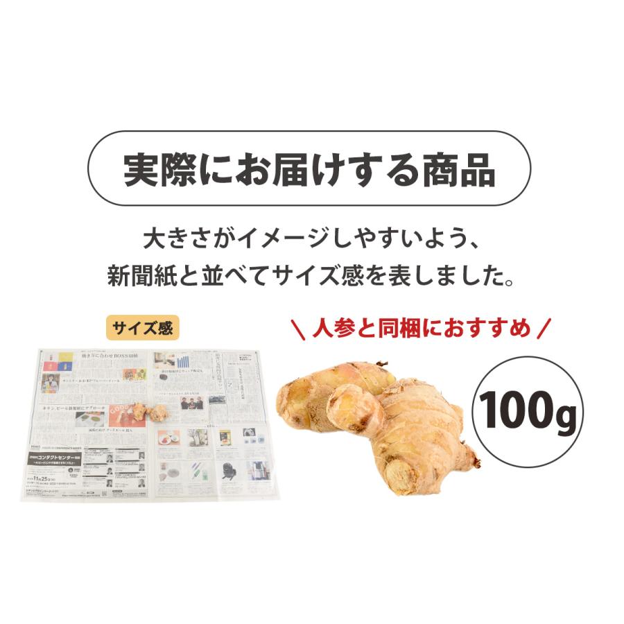 生姜 無農薬 100g 長崎県産 国産 古根 しょうが ショウガ 訳あり 野菜