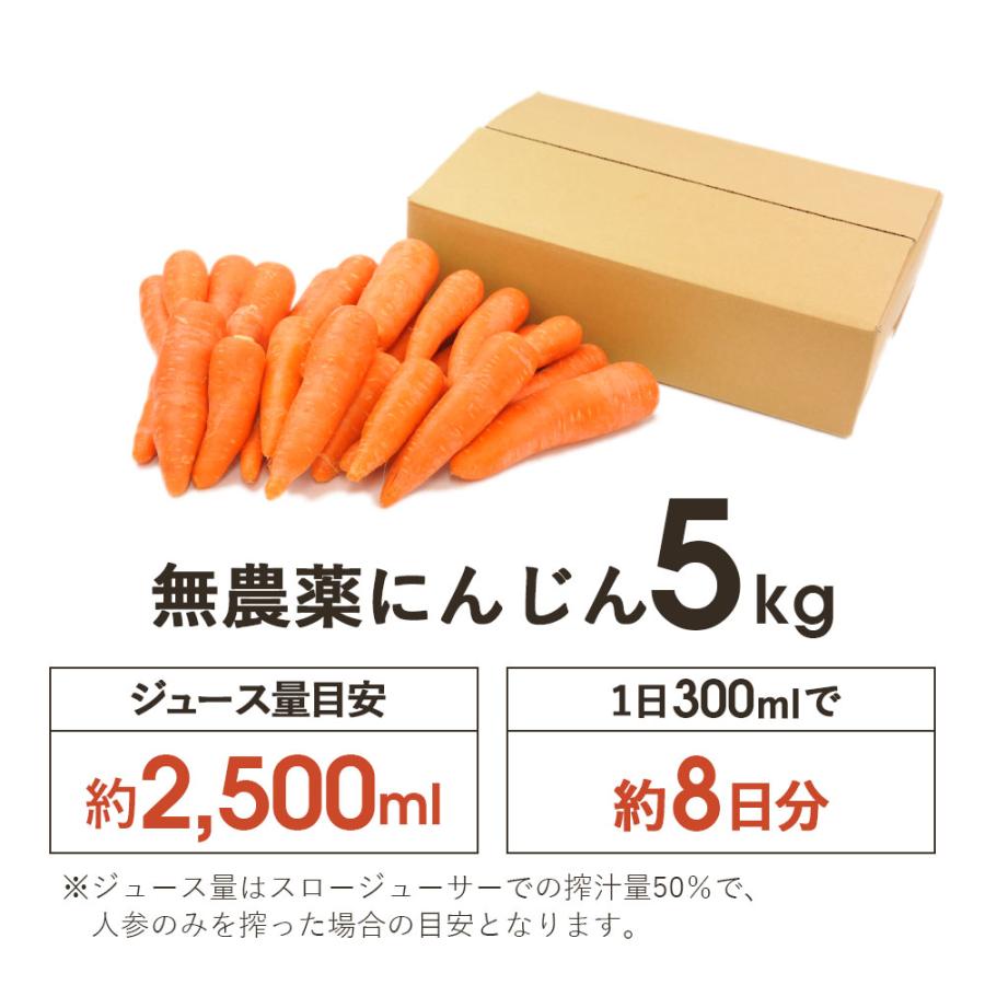 オーガニック にんじん 人参 無農薬人参 5kg (常温便) 訳あり 無農薬
