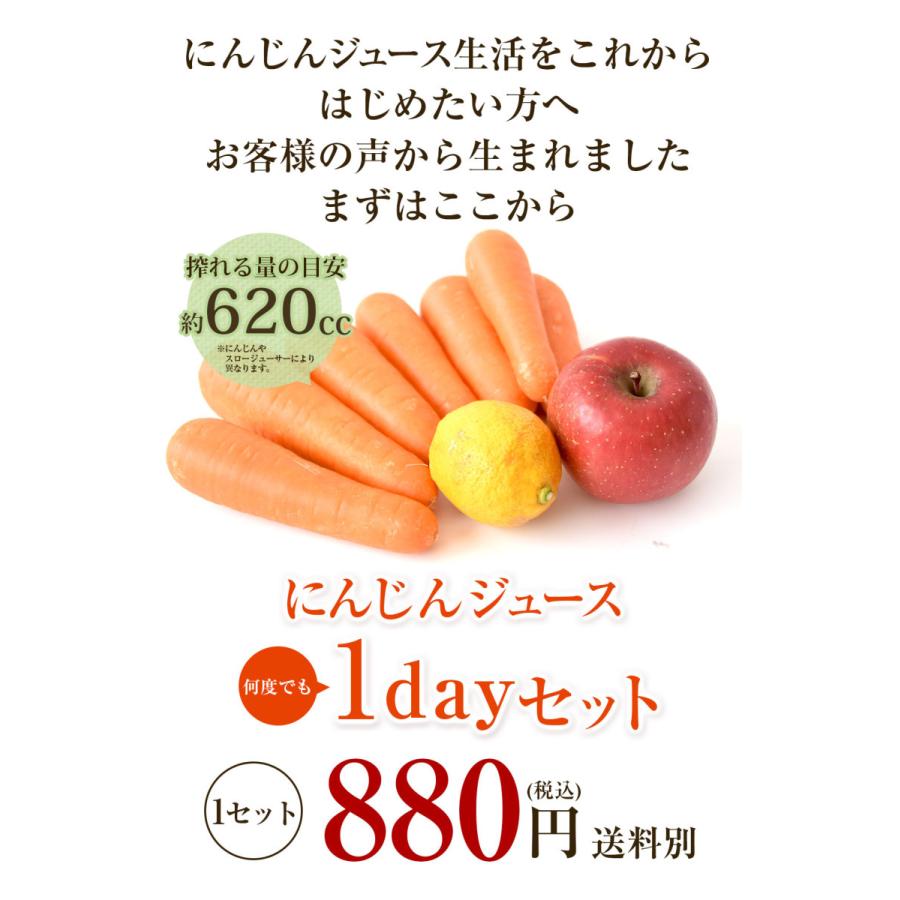 クール便対応 人参 にんじん 国産 にんじんジュース ジュース用 1kg 訳あり 誠実 ゲルソン療法にも最適 りんご1個 洗い人参 化学肥料不使用栽培 農薬 レモン1個