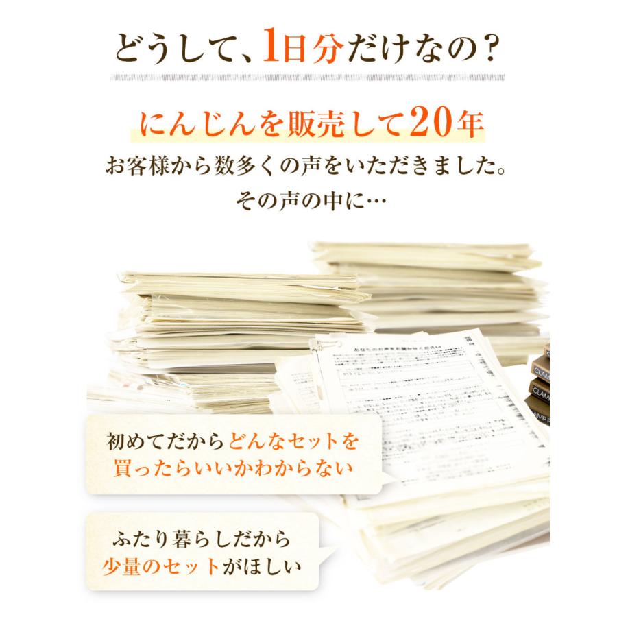 クール便対応 人参 にんじん 国産 にんじんジュース ジュース用 1kg 訳あり 誠実 ゲルソン療法にも最適 りんご1個 洗い人参 化学肥料不使用栽培 農薬 レモン1個
