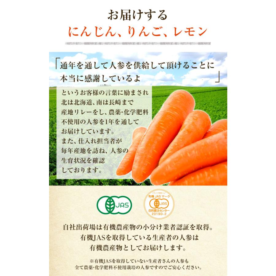 クール便対応 人参 にんじん 国産 にんじんジュース ジュース用 1kg 訳あり 誠実 ゲルソン療法にも最適 りんご1個 洗い人参 化学肥料不使用栽培 農薬 レモン1個