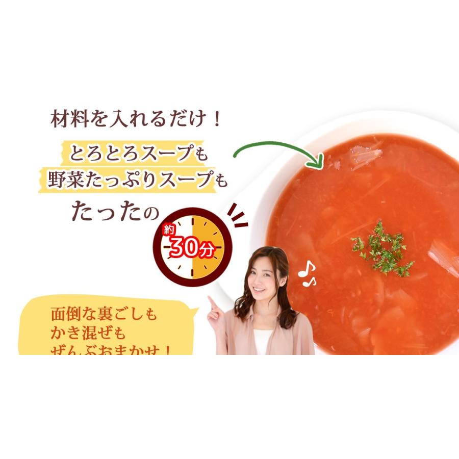 スープメーカー 最新 スープリーズR ZSP-4 ゼンケン 野菜スープ 離乳食 