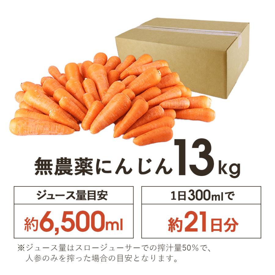 オーガニック にんじん 人参 無農薬にんじん 13kg (クール便) 訳あり