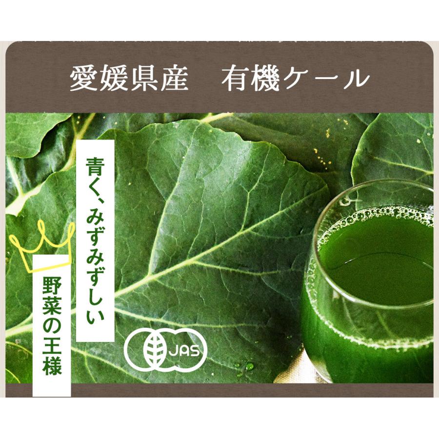 青汁 国産 無農薬 ケール 無添加 冷凍青汁 100ml×30P 野菜青汁 熊笹 健康 無糖 オーガニック 有機 有機JAS認証 ダイエット ストレート｜pika831｜17